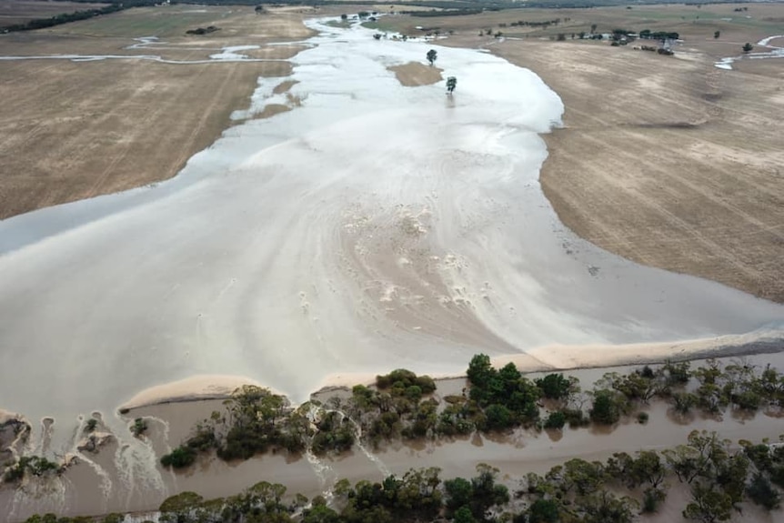 Floodwaters run across a paddock and onto a road. Taken from above.