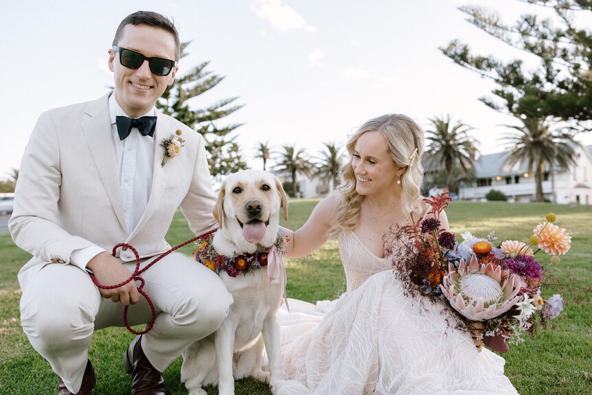 Benjamin Hardy and Angela Jay on their wedding day with their labrador
