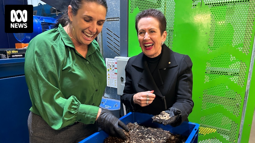 Des asticots vont grignoter les restes de nourriture des habitants de Sydney alors que les conseils cherchent des solutions aux déchets organiques