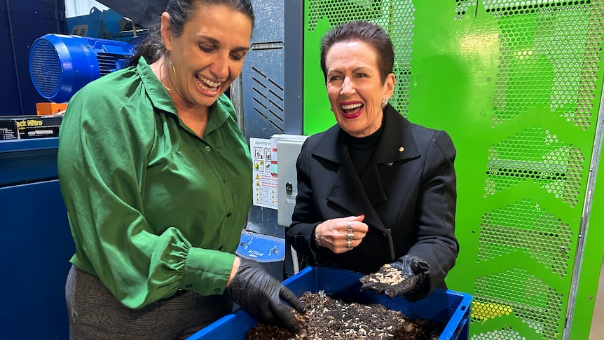 Two women with hands in gloves sift through a tray of dirt and maggots.