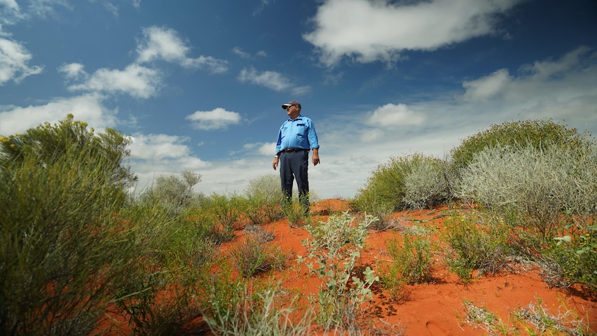 A traditional owner standing on top of a red sand dune with green flowers and shrubs lightly surrounding his feet