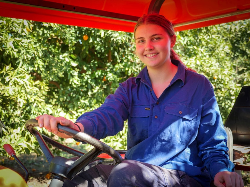 A young woman sits on a tractor at an orange farm