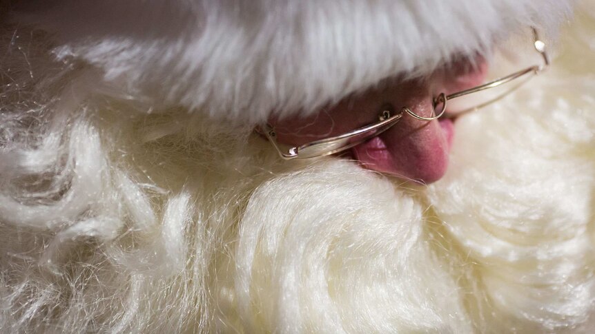Santa's nose peeks out from a sea of white beard.