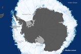 Satellite data image showing the maximum extent of Antarctic sea ice coverage on October 6, 2015