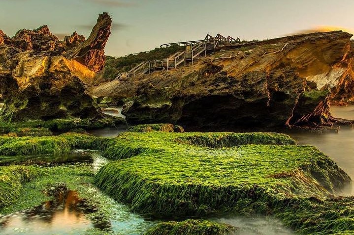 The rocky headland of Middle Island off Warrnambool