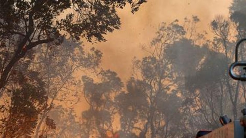 Firefighters spray a bushfire