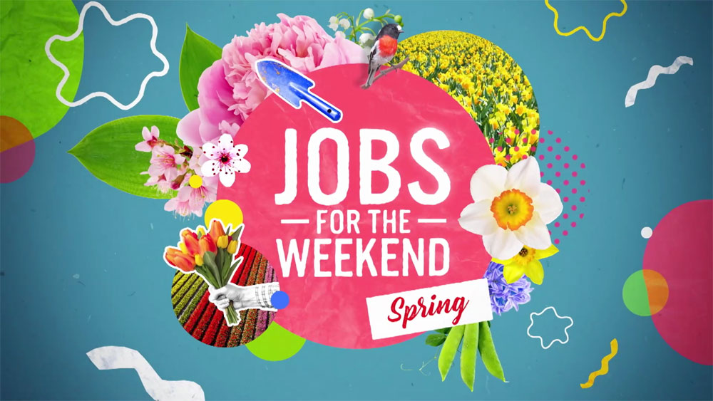 Jobs for the Weekend | 31st October Jobs for the Weekend | 31st October