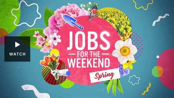 Graphic 'Jobs for the Weekend Spring.'. Has Video.
