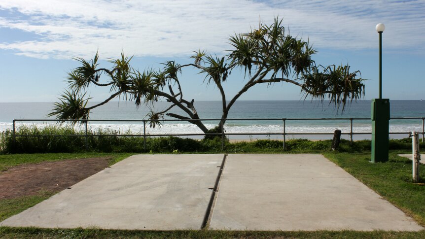 An empty caravan park slab with pandanus tree overlooking the beach.
