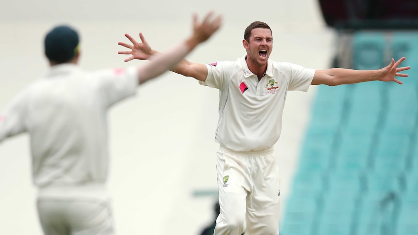 Josh Hazlewood appeals for a wicket at the SCG