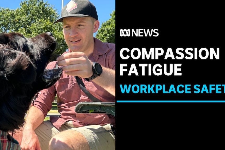 Compassion Fatigue, Workplace Safety: A made feeds feed to a dog.