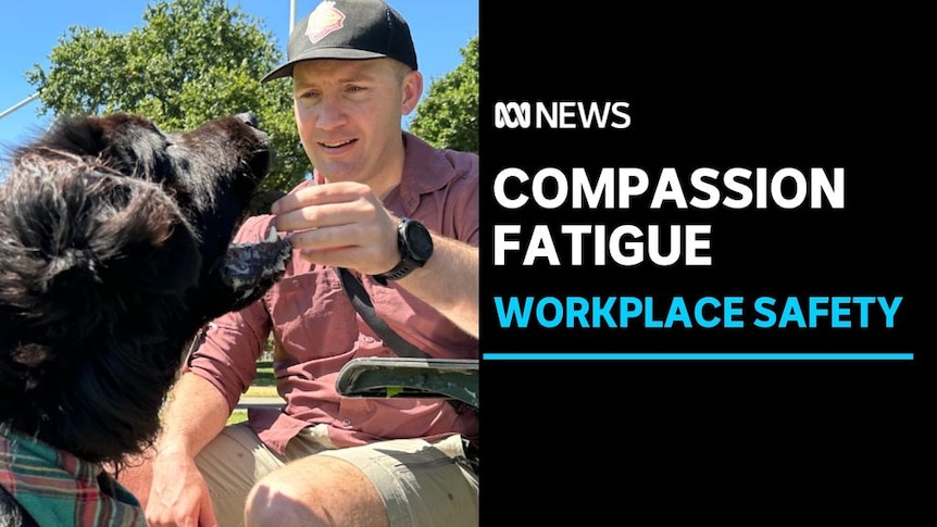 Compassion Fatigue, Workplace Safety: A made feeds feed to a dog.