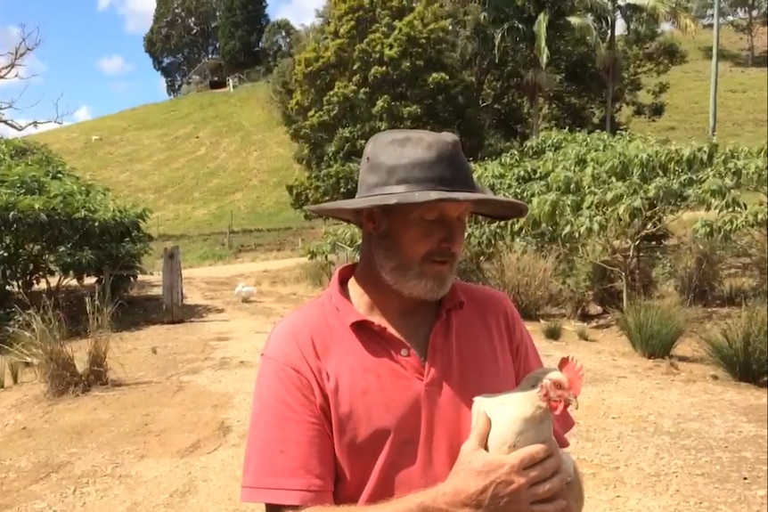 Ross Sigley on his farm at Mullumbimby with a rescued chicken.