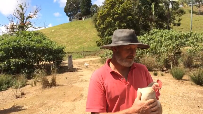 Ross Sigley on his farm at Mullumbimby with a rescued chicken.
