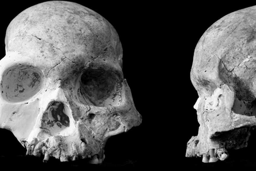 Skull found in red deer cave in China