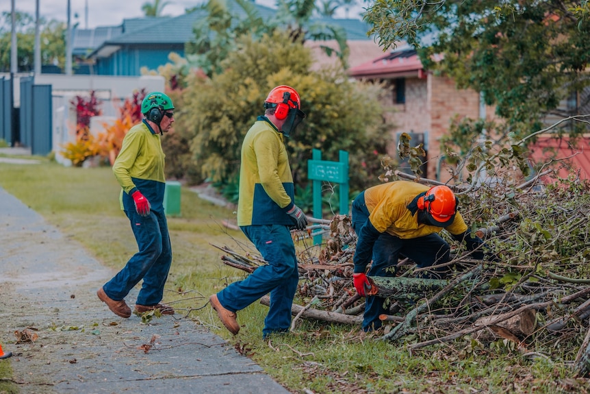 Council workers chop up a fallen tree. 