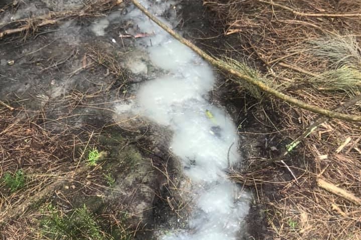 Grey clouds of pollution are seen in a river creek bed surrounded by green plants