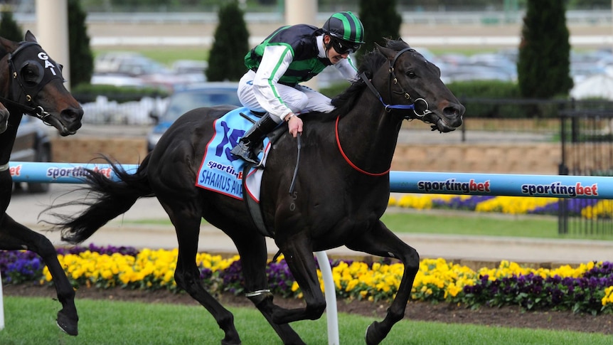 Shamus Award, ridden by Chad Schofield, wins the Cox Plate at Moonee Valley.