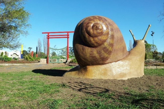 The giant snail statue in Queanbeyan, nicknamed Morty.
