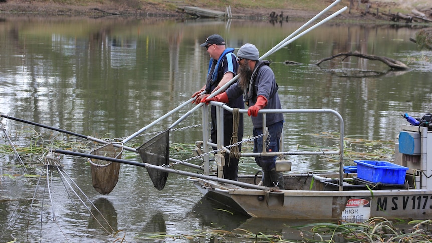 Two men with fishing nets on a boat in a river