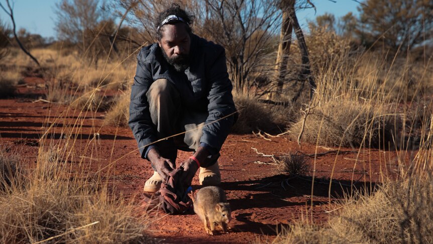 Man releases small furry animal into outback