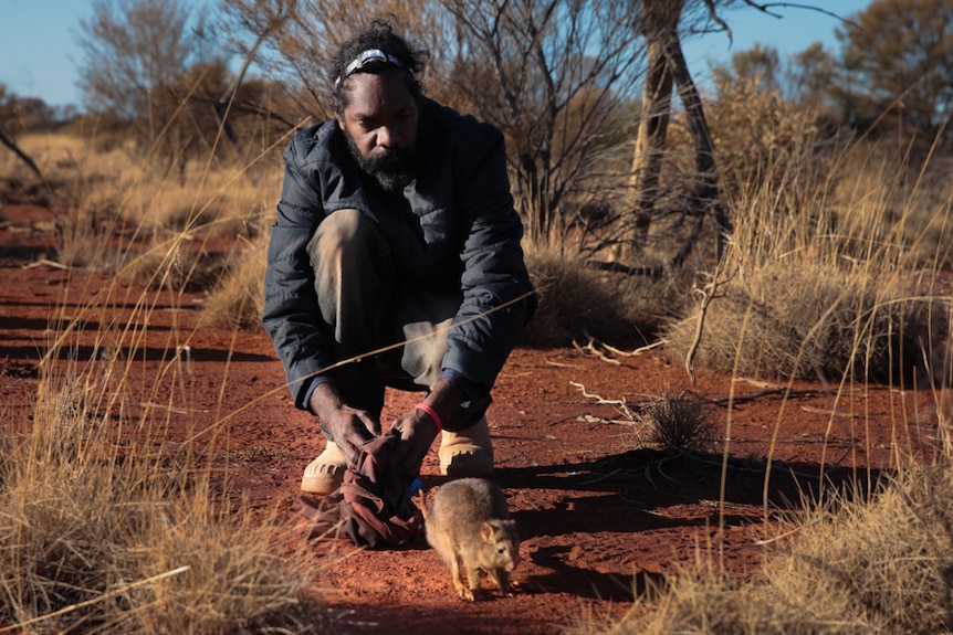 Man releases small furry animal into outback