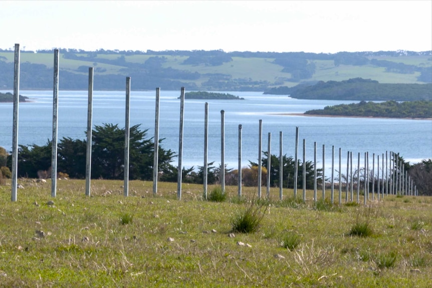 Fence posts without wire trail off into the distance on a green hill toward a blue lake