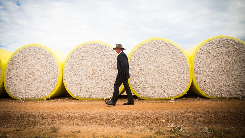 Barnaby Joyce walks past bales of cotton in regional Queensland. His hands are in his pockets