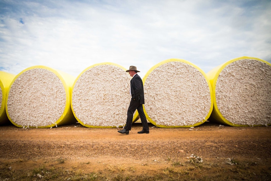 Barnaby Joyce walks past bales of cotton in regional Queensland. His hands are in his pockets