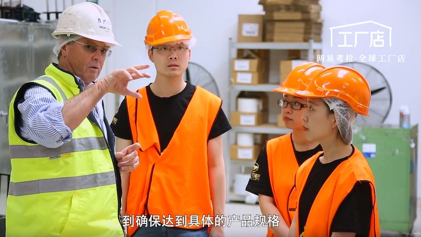 Two men and two women in fluoro vests and hard hats in a packing facility