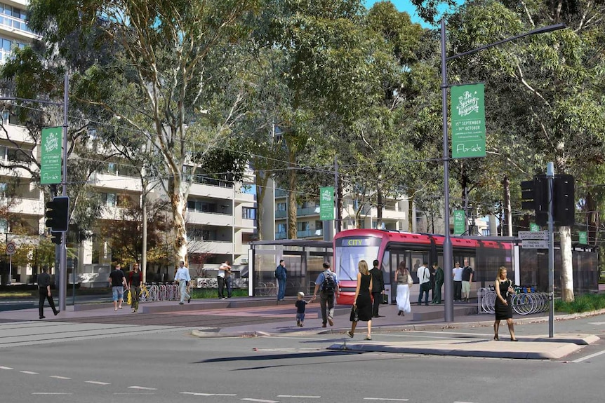 Artist impression of light rail on Northbourne Avenue.