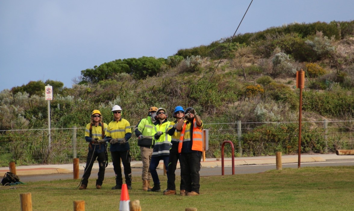 Fungal Disease Threatens Norfolk Island Pine Trees At Perth S Popular Tourist Beaches Abc News