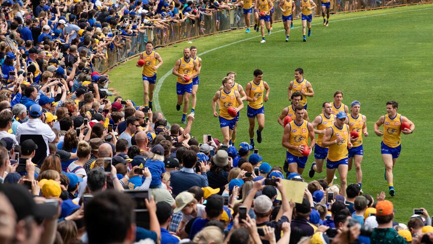 West Coast Eagles football players run on an oval, cheered on by fans wearing blue and gold.