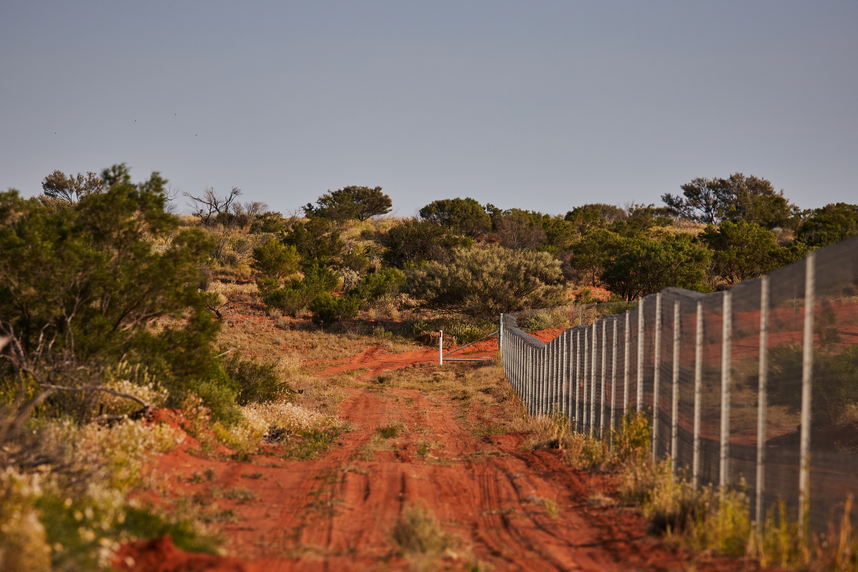 A metal fence running through an arid desert environment. 