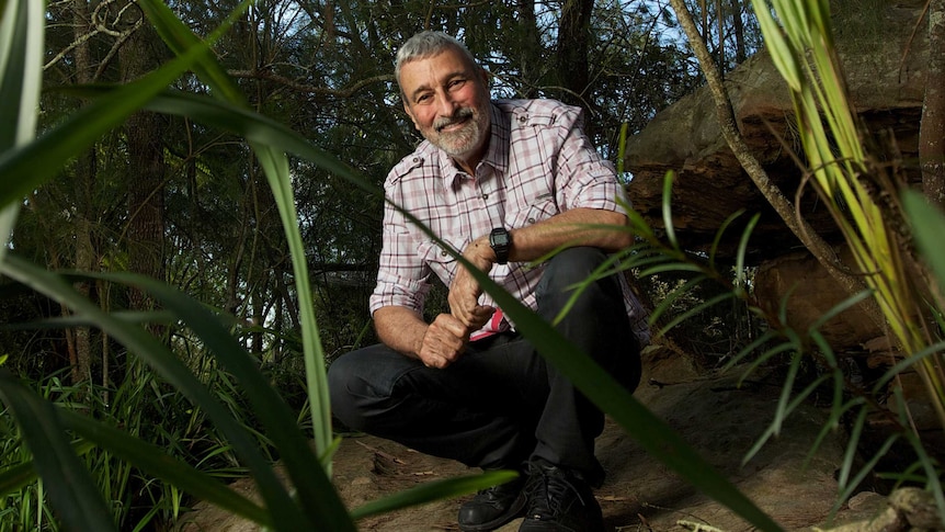 TV gardener Don Burke