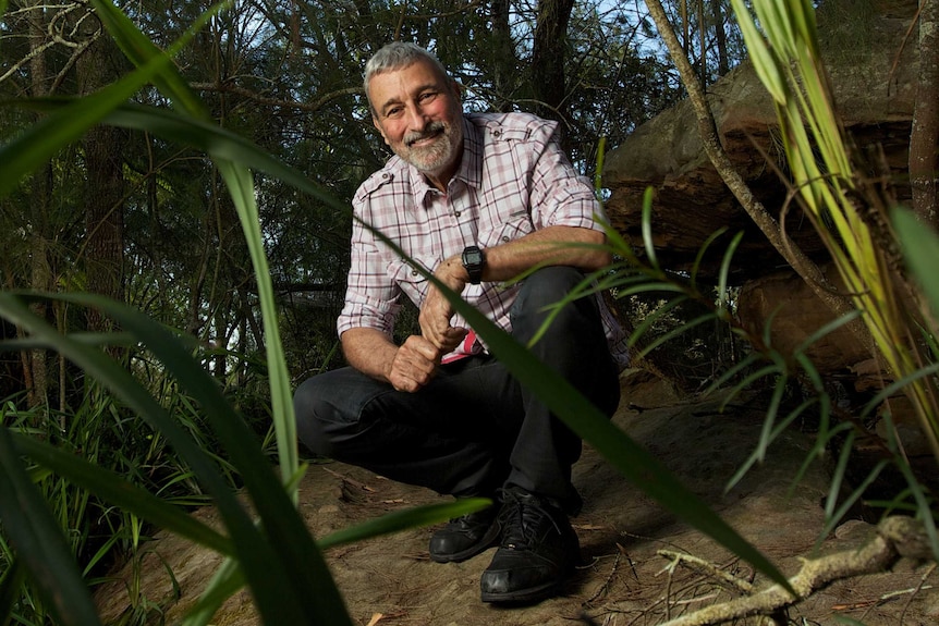 TV gardener Don Burke