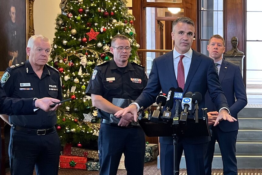 Five men stand in front of a Christmas tree, with the premier out front, speaking at a microphone