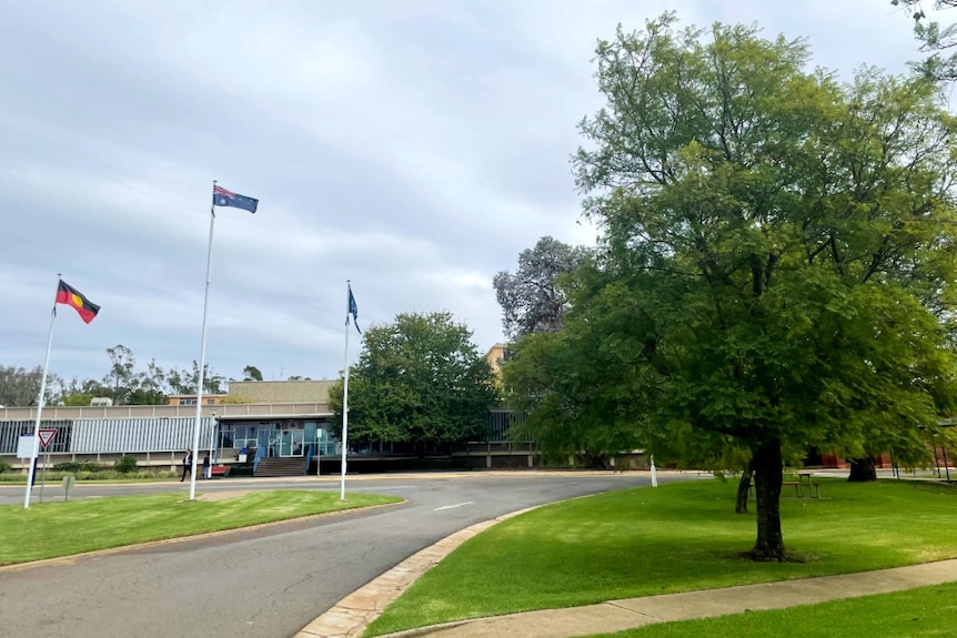 A campus of a university in a regional area with three flag poles in the foreground and a building in the background