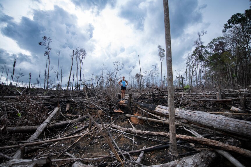 A woman in a blue singlet and shorts stands amongst felled trees, in what was Amazon rainforest. 
