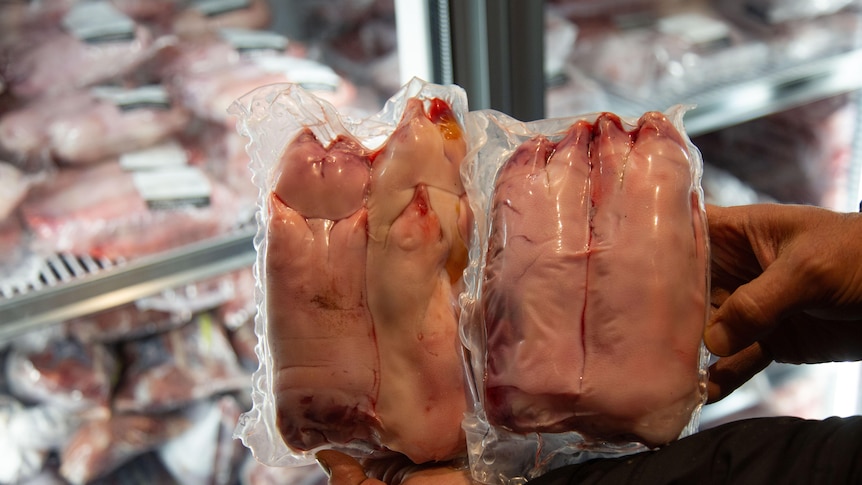 Photograph of pink pigs' trotters wrapped in plastic held by a hand in front of a fridge.
