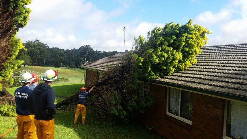 NSW RFS volunteers remove a tree that fell onto a house in Hornsby