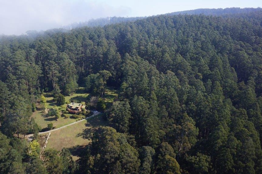 A house on a mountain surrounded by dense bushland.