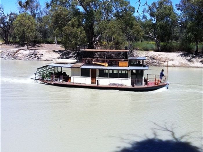 Paddle boat Dromedary on the Darling River
