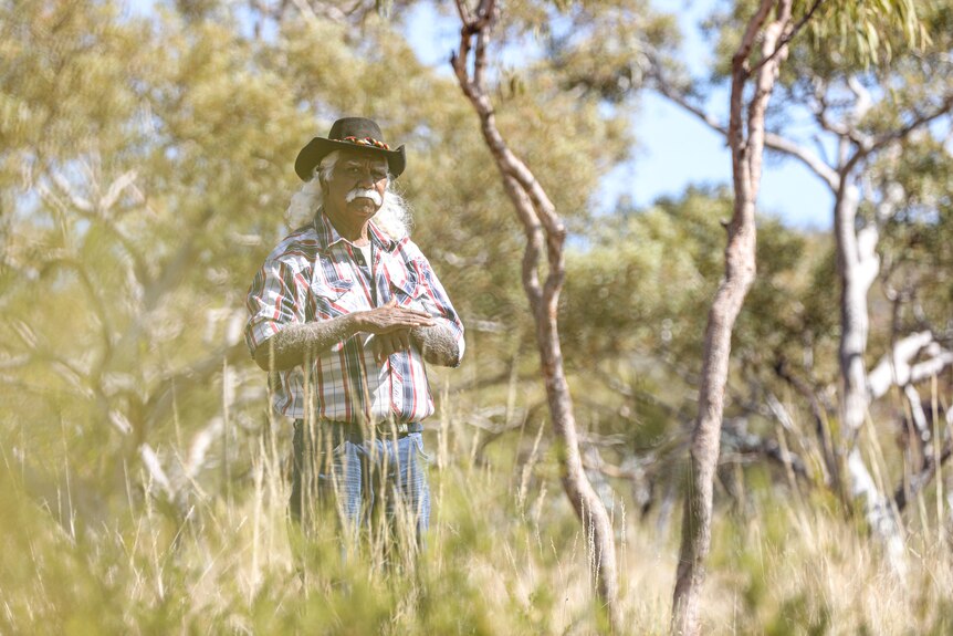Indigenous man standing in an open plain with tall grass and trees.