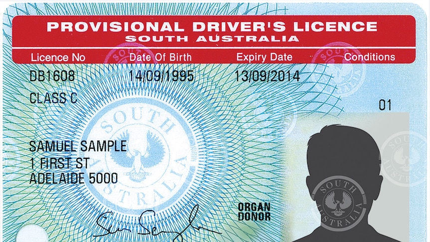 A close up shot of a hand holding a WA driver's licence with the details blurred out.