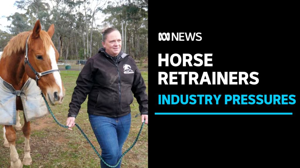 Racing Victoria to boost pay for trainers of ex-racehorses - ABC News
