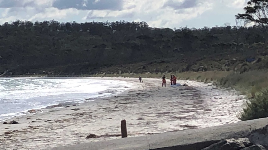 People seen from a distance on a beach.