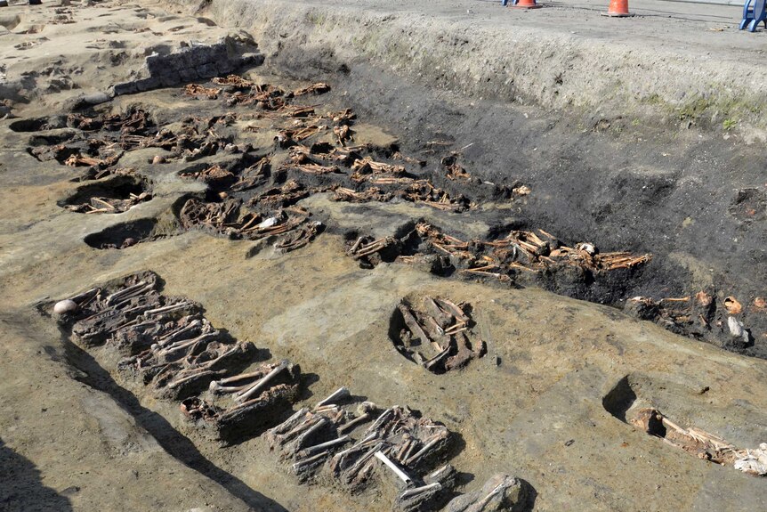 Human bones found at the north section of the "Umeda Grave".