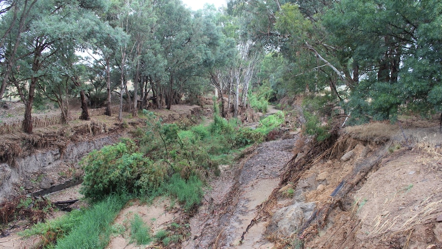 Hodgson Creek in North East Victoria widened from six to 30 feet when floodwater ripped through Bundara farm on December 13 2018