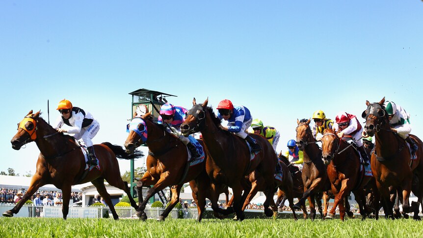 Woorim (left) races home on the outside to win the Group One Oakleigh Plate